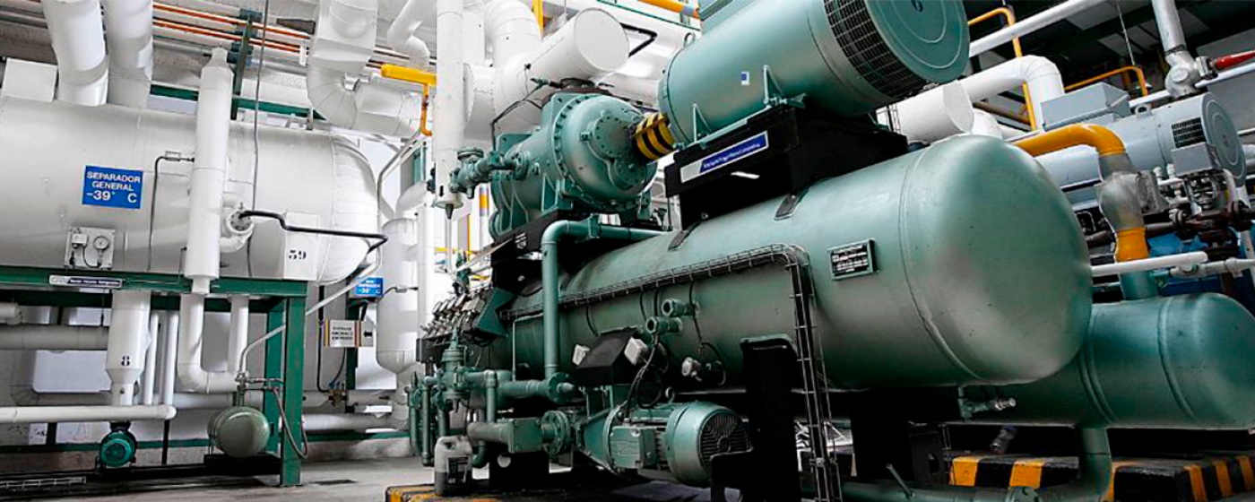 Abierto plazo de matrícula  hasta el 17 de enero